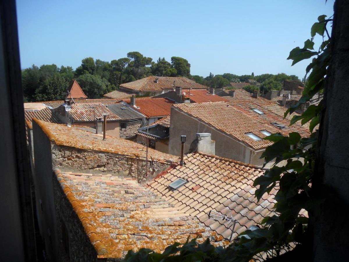 Logis De La Meschaussee, Dans Donjon Du Xie Siecle Canet  Luaran gambar